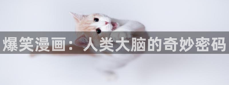 喵趣漫画1.09：爆笑漫画：人类大脑的奇妙密码