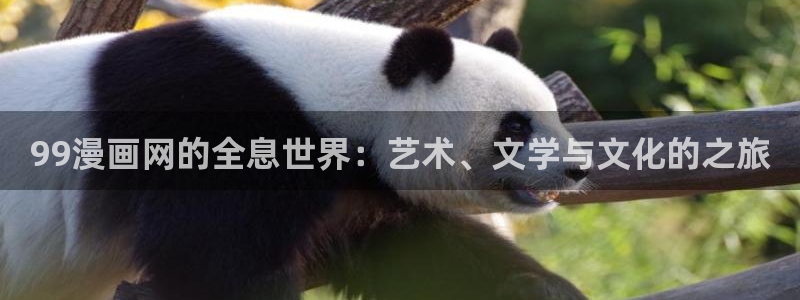 喵趣漫画官方正版下载最新版本